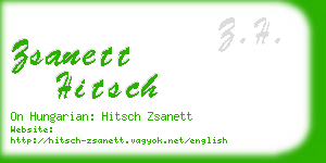 zsanett hitsch business card